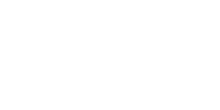 Tempest Droneworx™ logo in white